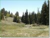 1.484 Acres of Colorado Land for Sale