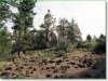 2.30 Acres, Oregon Land for Sale