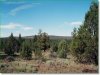 2.3 Acres Oregon Land
