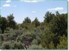 Colorado Land for Sale, 5.4 Acres