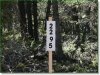 Colorado Land for Sale