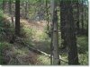 Colorado Land for Sale, 1.904 Acres