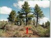 2.30 Acres of Oregon Land