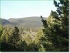 1.7 Acres Colorado Land