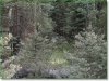 Colorado Land for Sale, 1.716 Acres