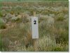 Cheap Colorado Land for Sale, 5.0 Acres