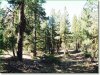Oregon Land