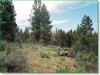 2.30 Acres of Oregon Land for Sale