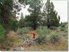 Oregon Land for Sale, 2.30 Acres