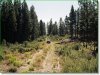 1.43 Acres Oregon Land