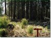 Oregon Land for Sale, 1.43 Acres