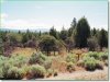 1.51 Acres of Oregon Land for Sale