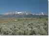 6.1 Acres of Colorado Land for Sale