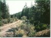 1 Acre Oregon Land