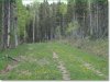 Cheap Monthly Payment of $195 1.487 Acres Colorado Land