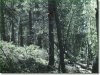 3.0 Acres of Colorado Land for Sale