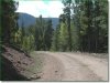 3.007 Acres Colorado Land
