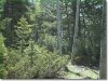 Colorado Land for Sale, 1.5 Acres