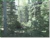 Colorado Land