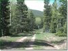 Colorado Land, 1.50 Acres