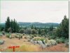 2.3 Acres Oregon Land
