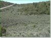Colorado Land for Sale, 5.013 Acres