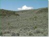 5.01 Acres of Cheap Colorado Land for Sale