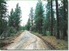 2.74 Acres Oregon Land