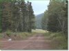 1.34 Acres Colorado Land