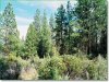 Oregon Land, 1.50 Acres