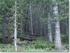 Colorado Land Auction 1.4 Acres Colorado Land