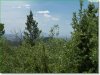 Cheap Colorado Land, 8.60 Acres