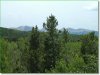8.6 Acres Colorado Land