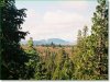 5 Acres Oregon Land