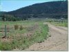 5.03 Acres for $150 a month 5.03 Acres Colorado Land