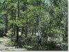 Colorado Land for Sale