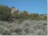 Colorado Land for Sale