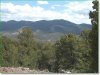 Colorado Land for Sale