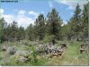 2.3 Acres of Oregon Land for Sale