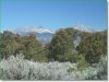 5 Acres of Colorado Land for Sale