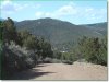 5 Acres Colorado Land
