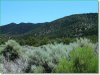 5 Acres Colorado Land