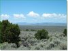 Picture of Land for Sale