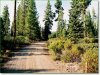 5.0 Acres of Cheap Oregon Land for Sale