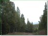 2.74 Acres, Colorado Land for Sale