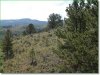Colorado Land, 5.0 Acres