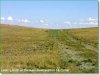 Picture of Land for Sale