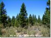 Oregon Land, 2.30 Acres