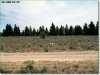 Oregon Land for Sale, 1.5 Acres