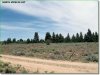 Oregon Land for Sale